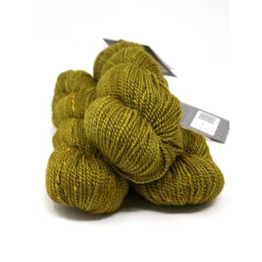 Acadia - Yellow Birch
