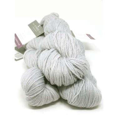 Canopy Fingering  - Cloud Forest  CF010