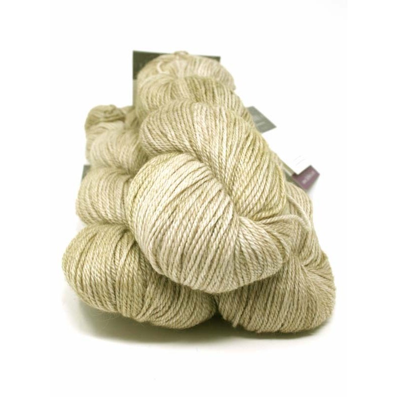 Canopy Fingering  - Wild Ginger CF220