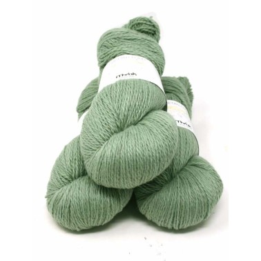 mYak - Tibetan Cloud - Ginepro