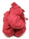 Worsted - American Beauty 502