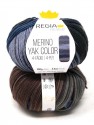 Regia - Merino Yak Premium Color 8508 Ocean gradient