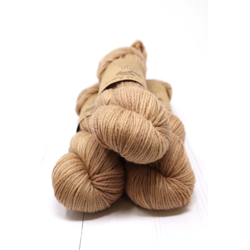 LITLG  - Hinterland DK* Camel