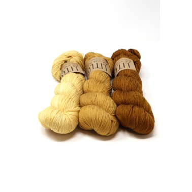 LITLG Fine Sock - Mustard Fade Set 3 uds