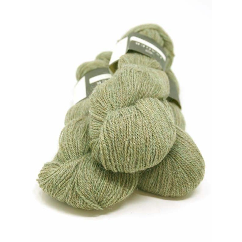 Alpaca 2 - Thyme