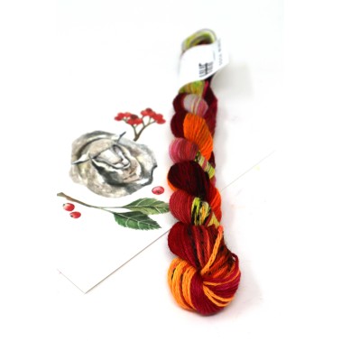 HHF Hedgehog Sock Mini - Phoenix
