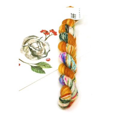 HHF Hedgehog Sock Mini - Guppy