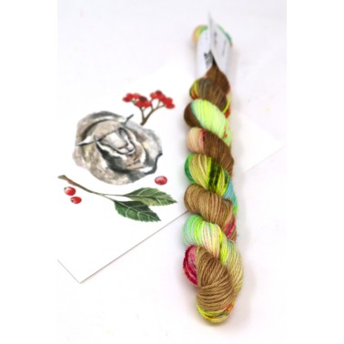HHF Hedgehog Sock Mini - Macaroon