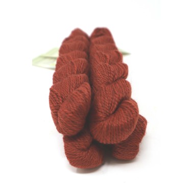 Amble - Nutkin Eco friendly **mini skein
