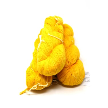 Lace - Sauterne 022