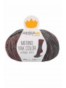 Regia - Merino Yak Premium Color 8512 Landscape