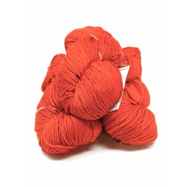 Ríos - Glazed Carrot 016