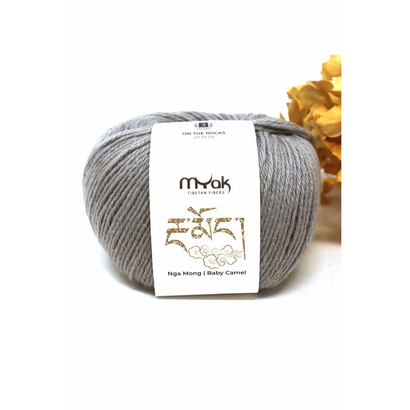 mYak - Baby Camel On The Rocks