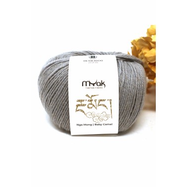 mYak - Baby Camel On The Rocks