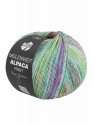 Lana Grossa Sock Meilenweit 100G Alpaca Print - 2102