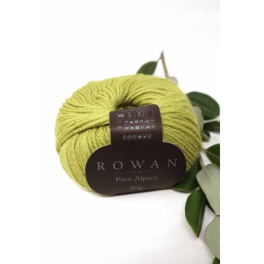 Pure Alpaca  124 Lichen
