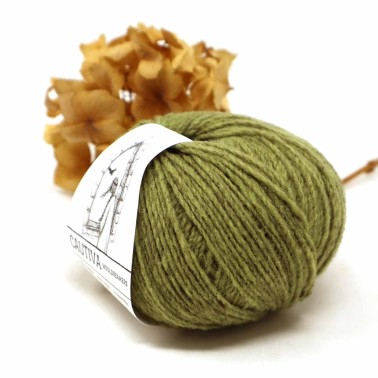 Wool Dreamers - Cautiva 535G Dried Green