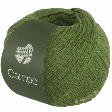 Campo 31 Dark Green