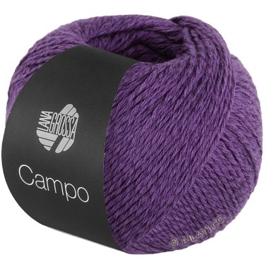 Campo 39 Violetta