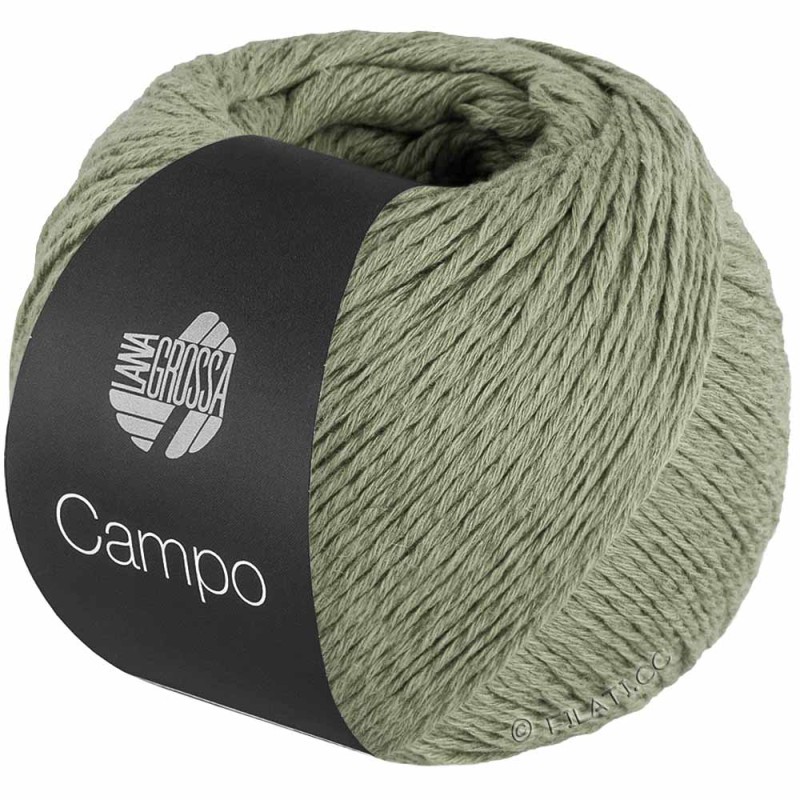 Campo 08 Dried Orange
