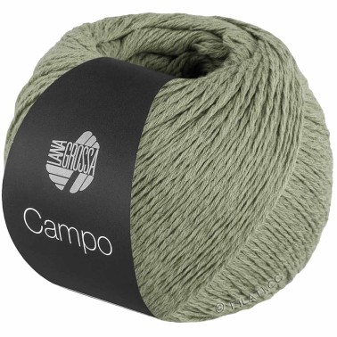 Campo 08 Dried Orange