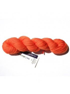 Lace - Apricot 72