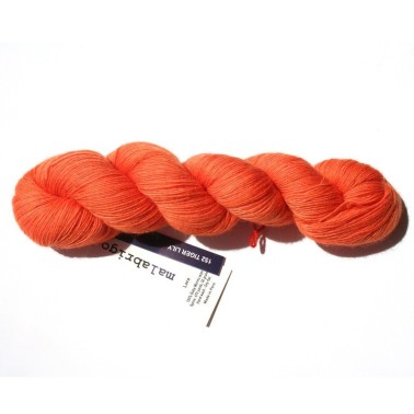Lace - Apricot 72