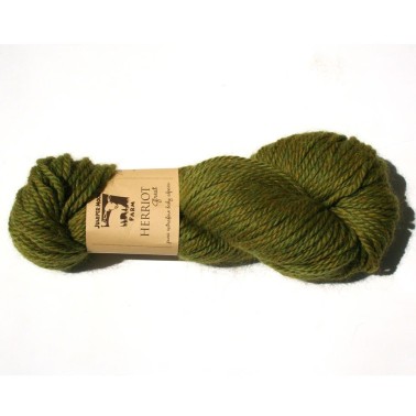 Juniper Herriot Great - Leafy 119