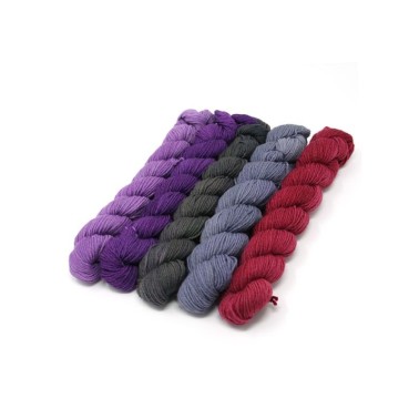 Lorna's Laces String Quintet Packs 5 mini skeins - Violin