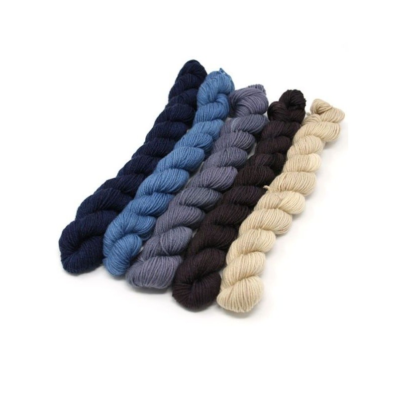 Lorna's Laces String Quintet Packs 5 mini skeins - Flute
