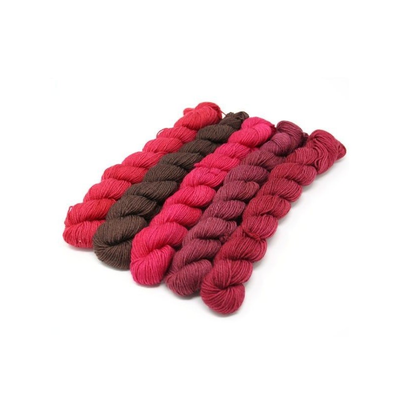 Lorna's Laces String Quintet Packs 5 mini skeins - Bongo