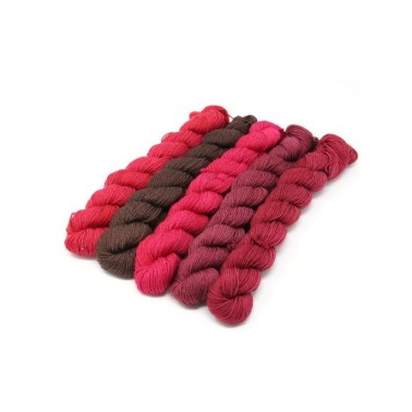 Lorna's Laces String Quintet Packs 5 mini skeins - Bongo