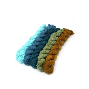 Lorna's Laces String Quintet Packs 5 mini skeins - Bazantar