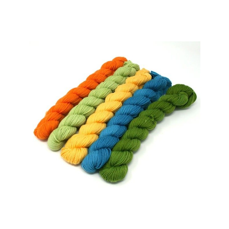Lorna's Laces String Quintet Packs 5 mini skeins - Piano
